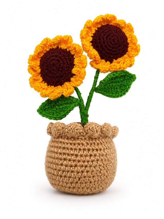 Twin Sunflower